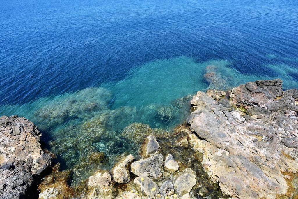 Villa Flora Argentario Porto Santo Stefano  Extérieur photo