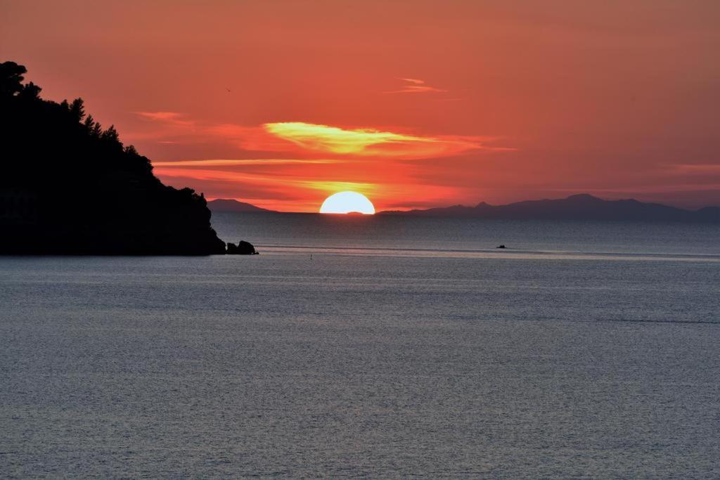 Villa Flora Argentario Porto Santo Stefano  Extérieur photo
