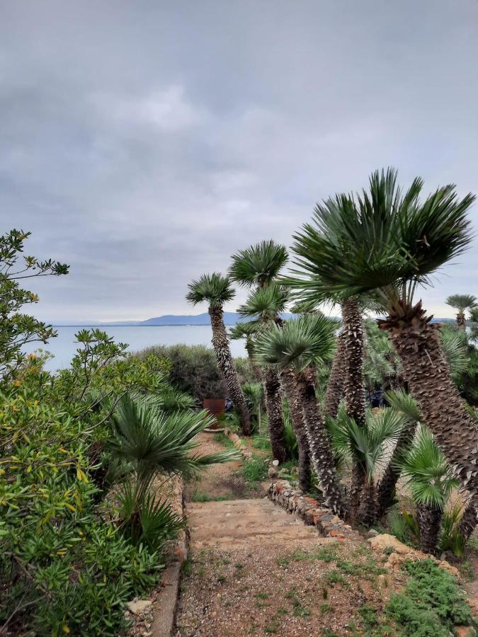 Villa Flora Argentario Porto Santo Stefano  Extérieur photo