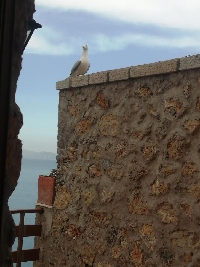 Villa Flora Argentario Porto Santo Stefano  Extérieur photo
